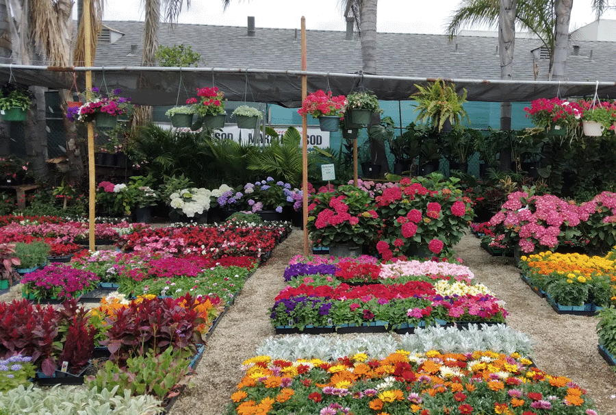 Orta Garden Supplies