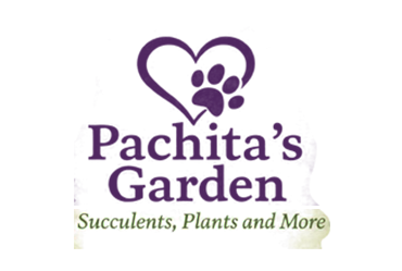 Pachita’s Garden