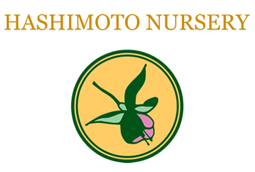 Hashimoto Nursery