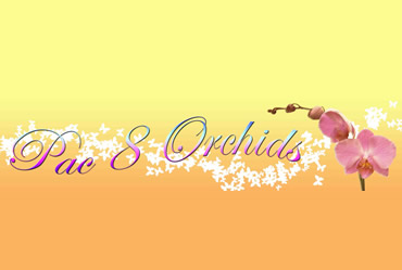 Pac-8 Orchids