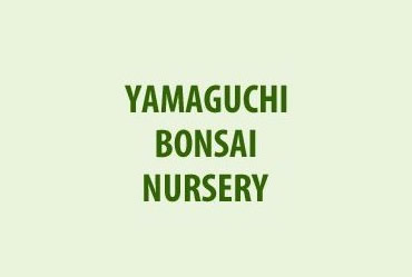Yamaguchi Bonsai Nursery