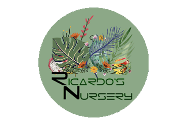 Ricardo’s Nursery