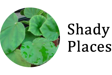 ShadyPlaces