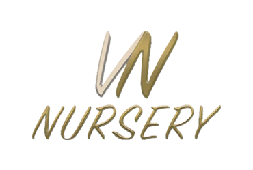 VN Nursery