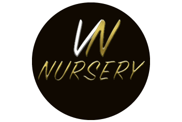 VN Nursery